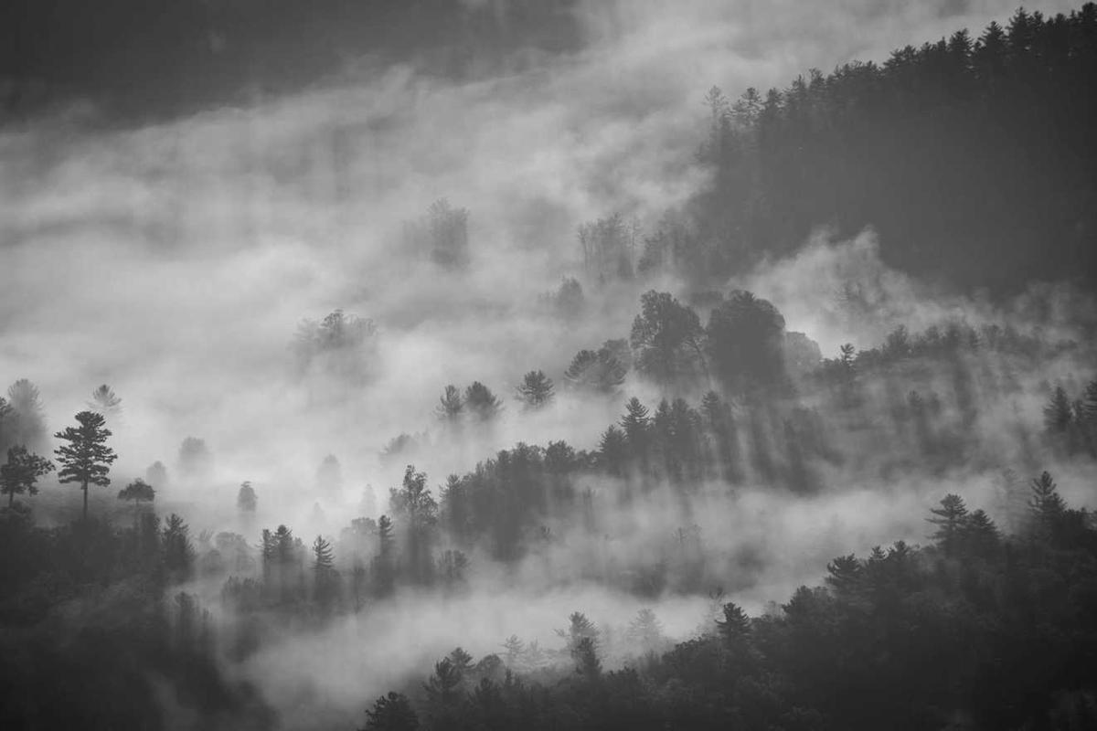 Couple enjoying vacation