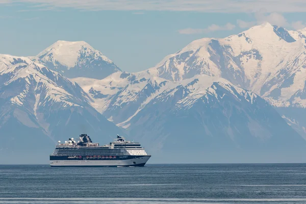 cruise travel agent winchester ky